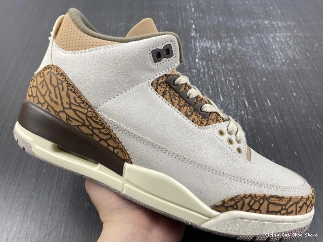 Kick Theory Jordan CT8532-102 Air Palomino 3 0707